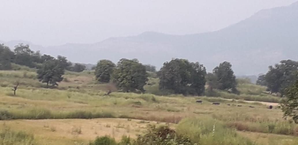 Karjat Mountain Villa Exterior photo